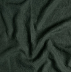 Austin Guest Towel from Bella Notte Linens in the color Juniper.