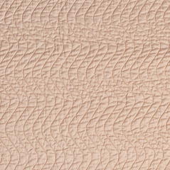 Cirillo Sham in Pearl from Bella Notte Linens.