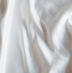 Paloma Pillowcase with Mattine Lace from Bella Notte Linens in the color Winter White.