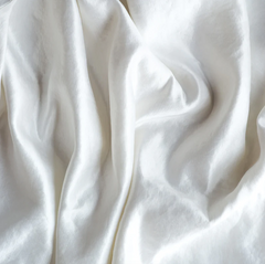 Paloma King Pillow Case in White by Bella Notte