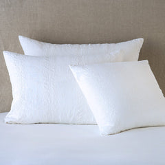 Ines Sham from Bella Notte Linens in the color White.