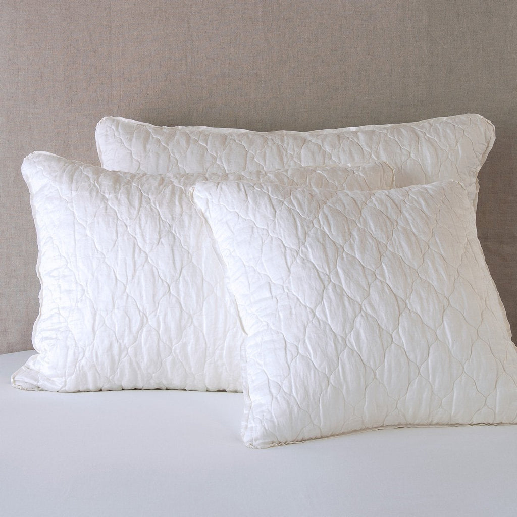 Luna Euro Sham in Winter White from Bella Notte Linens